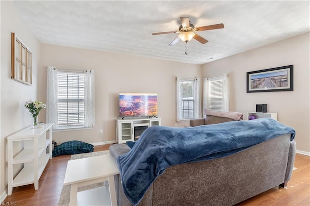 living room featuring ceiling fan and wood-type flooring