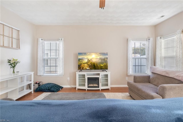 living room featuring a healthy amount of sunlight and light hardwood / wood-style flooring