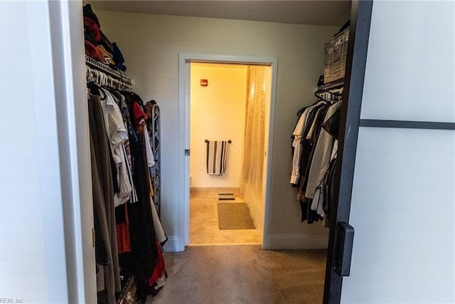 walk in closet featuring carpet flooring