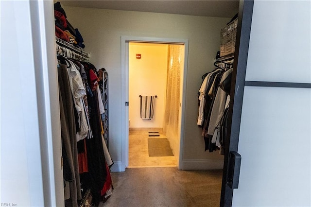 walk in closet featuring carpet floors