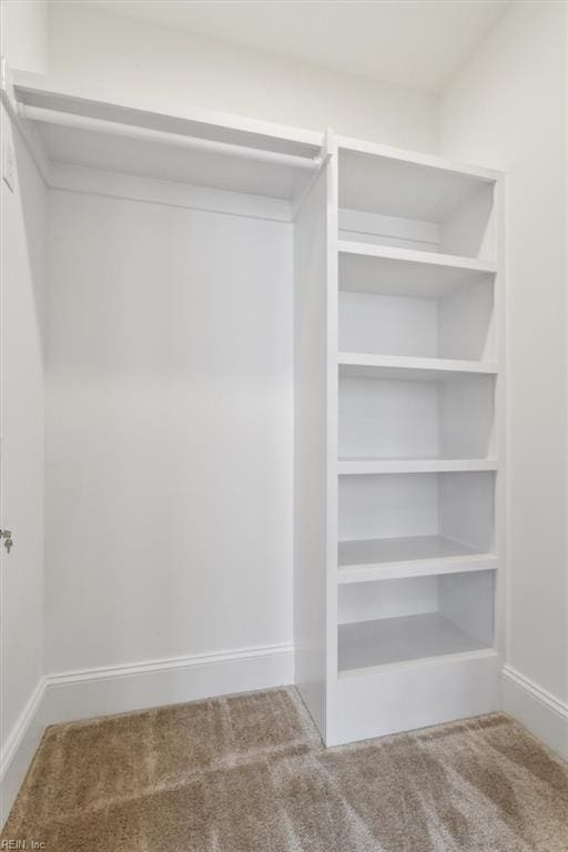 spacious closet with carpet