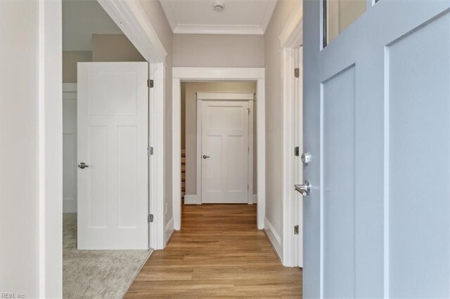 hall with light hardwood / wood-style floors and crown molding