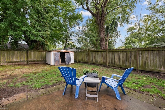 view of yard featuring a storage unit and a patio area