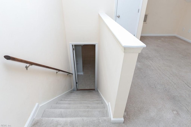 stairway featuring carpet floors