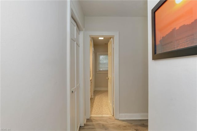 hall with light wood-type flooring