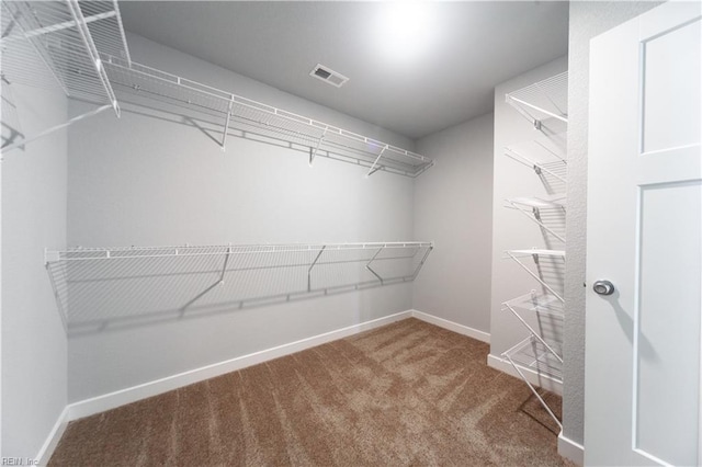 walk in closet featuring carpet flooring