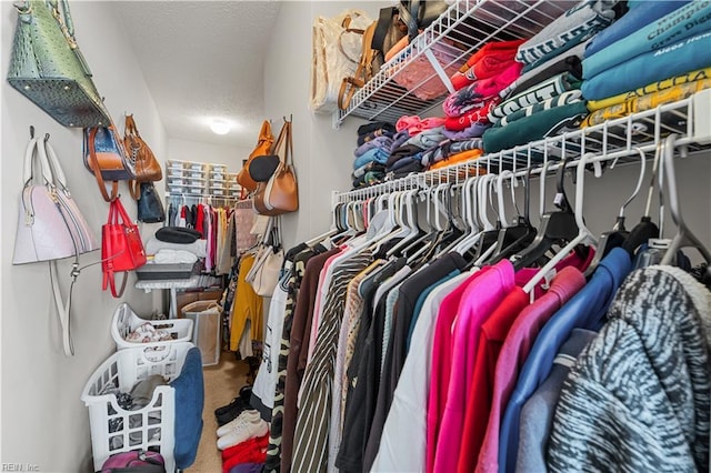 spacious closet featuring carpet