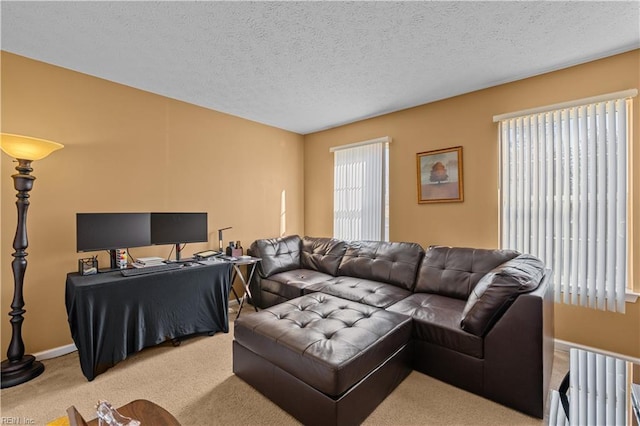 carpeted living room with a textured ceiling