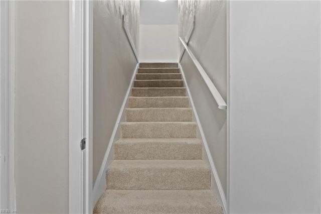 staircase featuring carpet