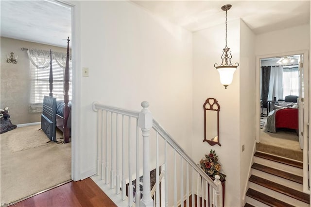 staircase with hardwood / wood-style floors and a wealth of natural light