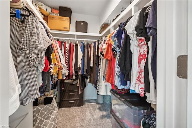 spacious closet featuring carpet flooring