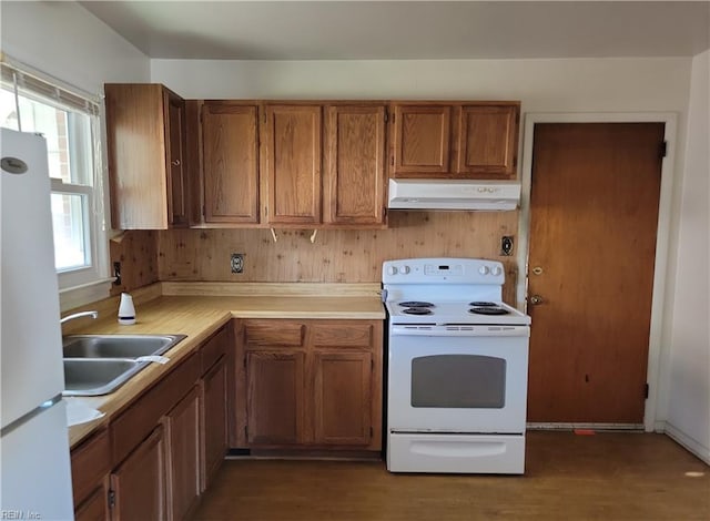 kitchen with white appliances, dark wood-type flooring, and sink