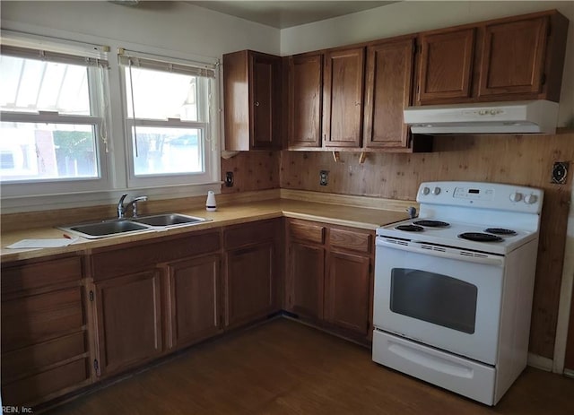 kitchen with sink, dark hardwood / wood-style floors, and electric stove