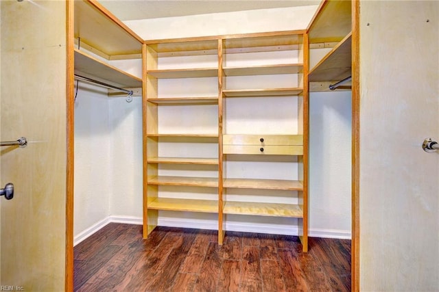 spacious closet with dark wood-type flooring