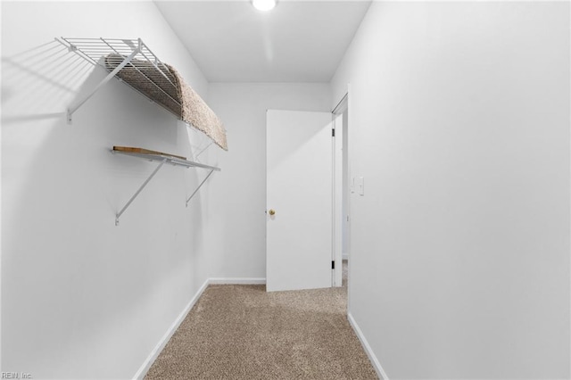 spacious closet with light carpet