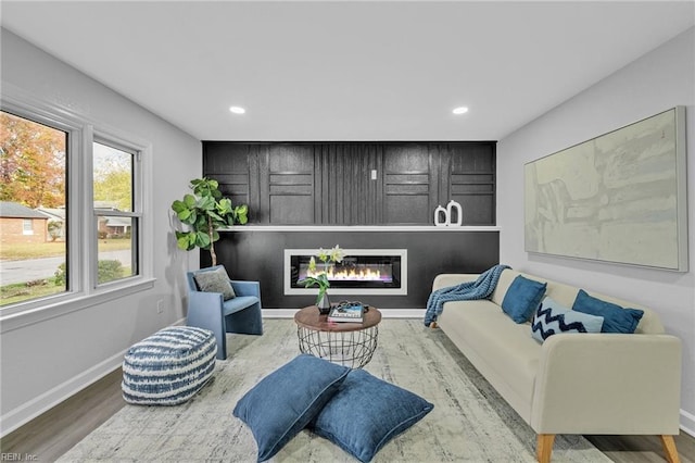 living room featuring hardwood / wood-style flooring