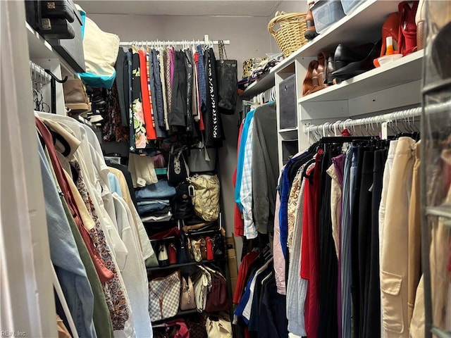 view of walk in closet