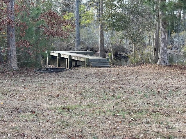 view of yard featuring a dock