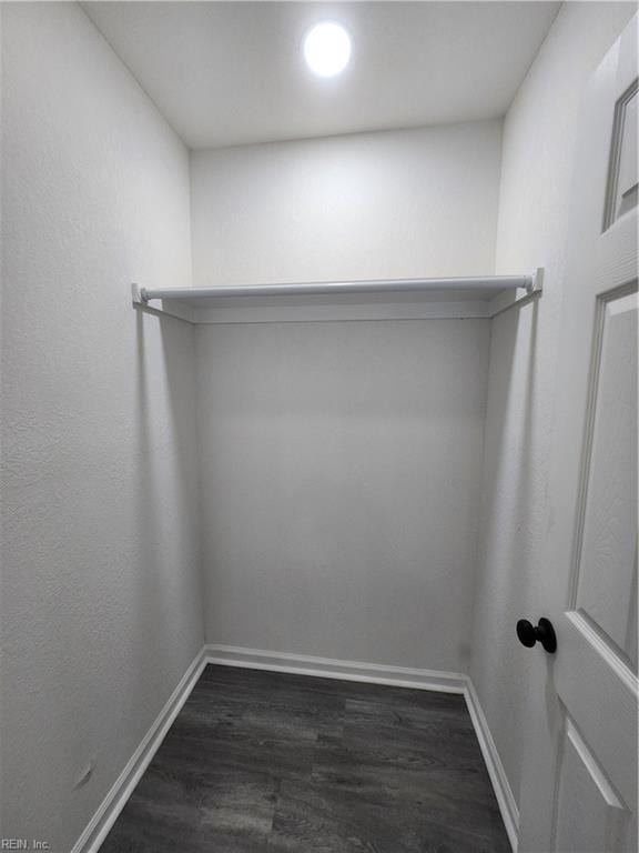 spacious closet with dark hardwood / wood-style flooring