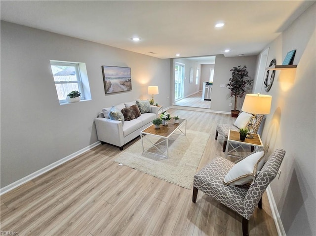 living room featuring light wood-type flooring