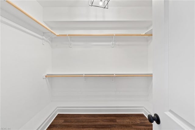 walk in closet with hardwood / wood-style floors