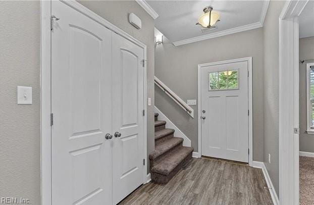 foyer with wood-type flooring and ornamental molding