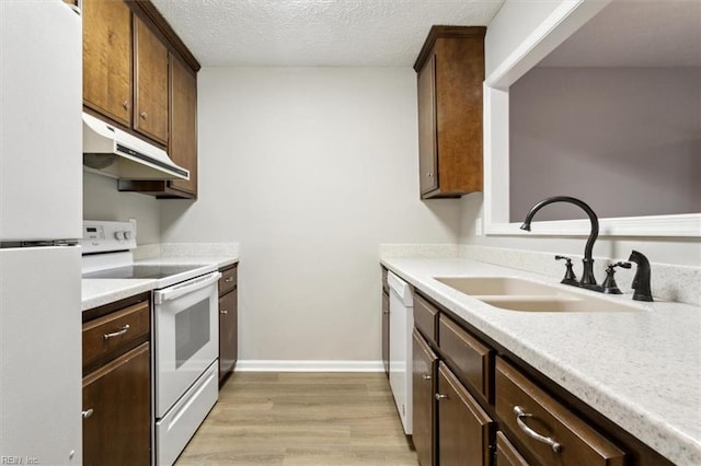 kitchen featuring sink, light hardwood / wood-style flooring, a textured ceiling, white appliances, and dark brown cabinets