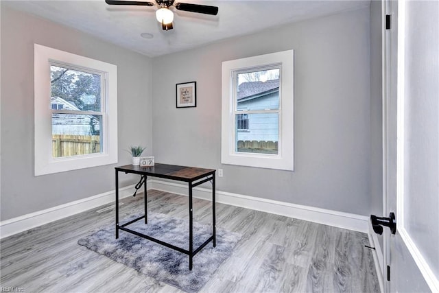 office with ceiling fan, light hardwood / wood-style floors, and a wealth of natural light