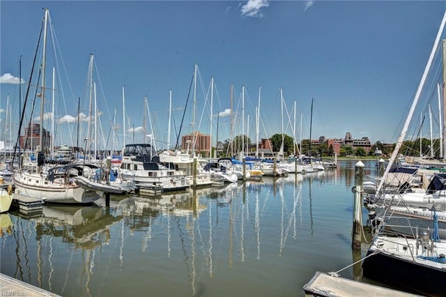 dock area with a water view