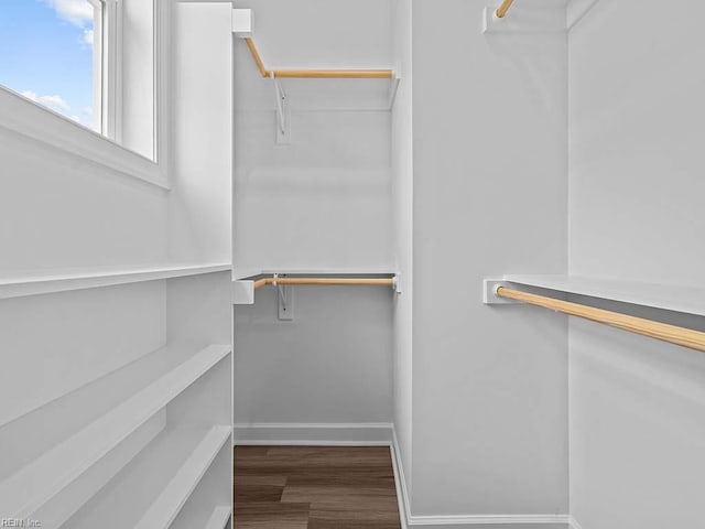 spacious closet featuring hardwood / wood-style floors