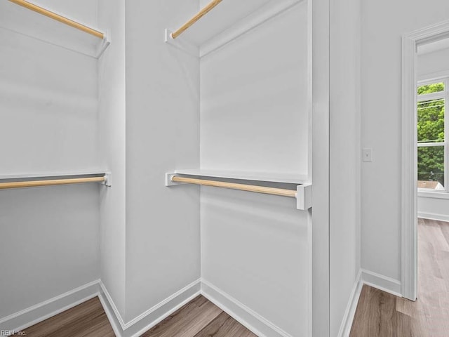 spacious closet with hardwood / wood-style floors