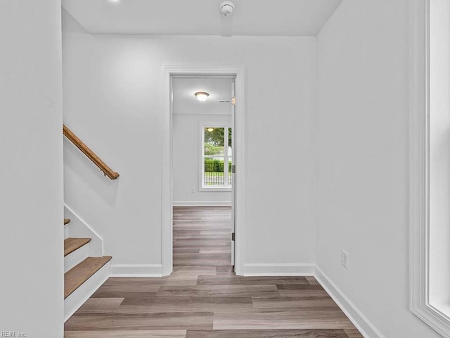 interior space with wood-type flooring