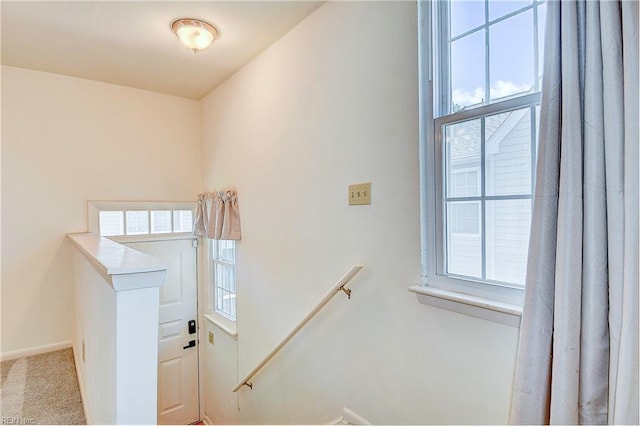 staircase with carpet flooring