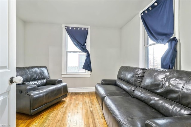 living room with wood-type flooring