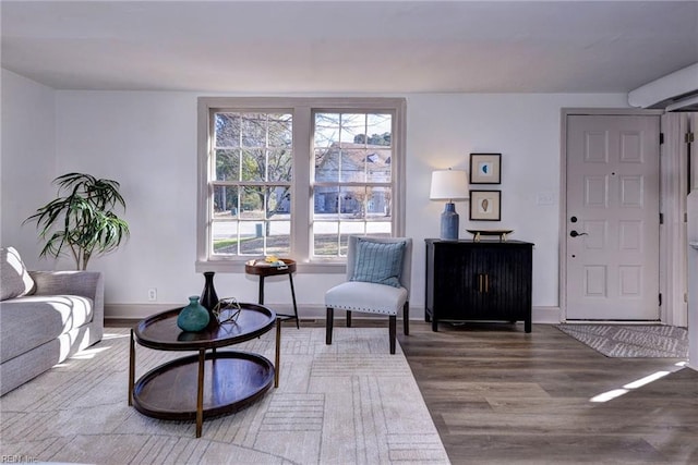 living area featuring a healthy amount of sunlight and wood-type flooring