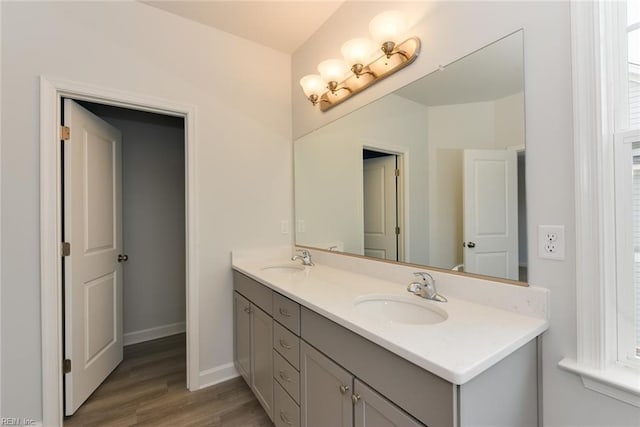 bathroom featuring wood-type flooring and vanity