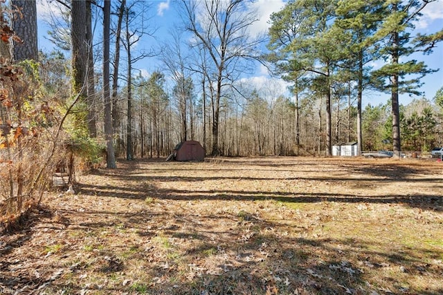 view of yard featuring a shed