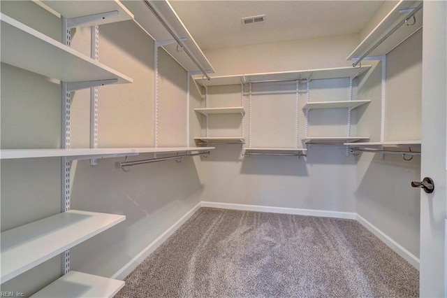 spacious closet featuring carpet floors