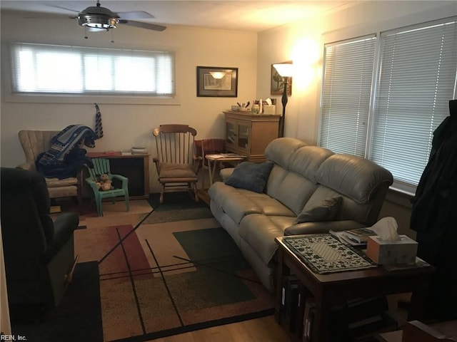 living room featuring ceiling fan and wood-type flooring