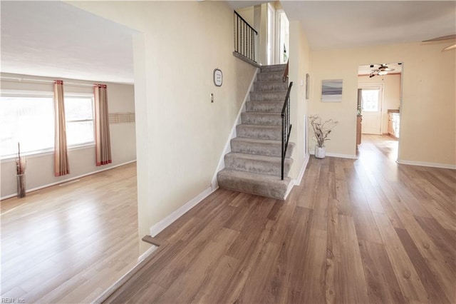 staircase with ceiling fan, a healthy amount of sunlight, and wood-type flooring