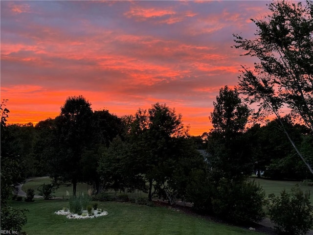 view of yard at dusk