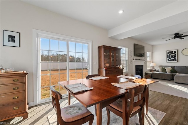 dining space featuring ceiling fan and light hardwood / wood-style floors