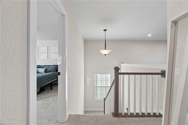 staircase featuring carpet floors