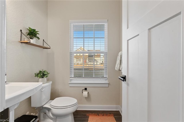 bathroom with toilet and hardwood / wood-style flooring