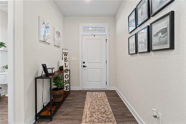 entryway with dark hardwood / wood-style flooring