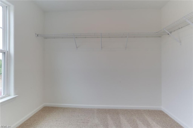 spacious closet with light carpet