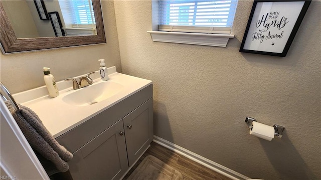 bathroom featuring vanity and wood-type flooring