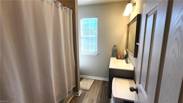 bathroom featuring vanity, wood-type flooring, and a wealth of natural light