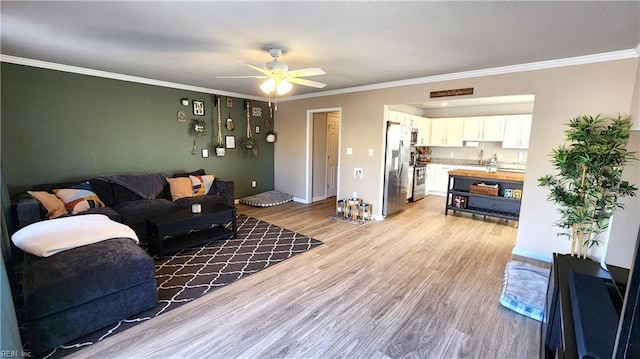 living room featuring ceiling fan, light hardwood / wood-style floors, sink, and crown molding