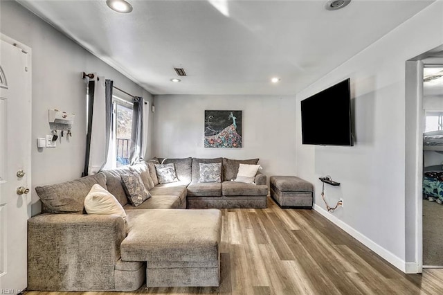 living room with wood-type flooring